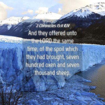Picture 04 - 2 Chronicles 15:11 KJV - And they offered unto the LORD the same time, of - Bible Verse Picture