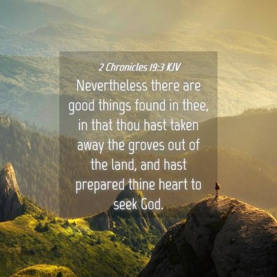 Picture 04 - 2 Chronicles 19:3 KJV - Nevertheless there are good things found in thee, - Bible Verse Picture