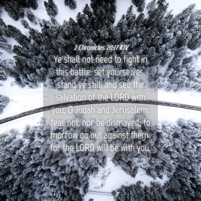 Picture 04 - 2 Chronicles 20:17 KJV - Ye shall not need to fight in this battle: set - Bible Verse Picture