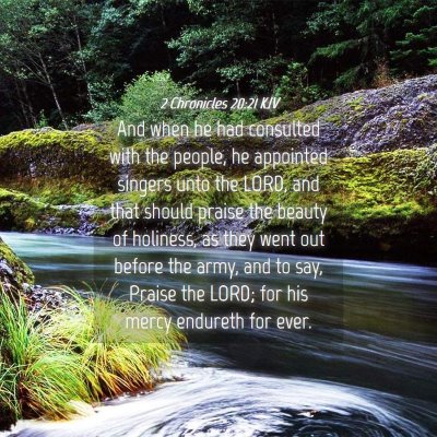 Picture 04 - 2 Chronicles 20:21 KJV - And when he had consulted with the people, he - Bible Verse Picture