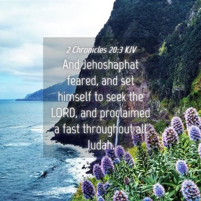 Picture 04 - 2 Chronicles 20:3 KJV - And Jehoshaphat feared, and set himself to seek - Bible Verse Picture