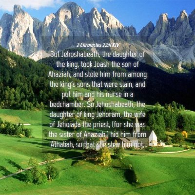 Picture 04 - 2 Chronicles 22:11 KJV - But Jehoshabeath, the daughter of the king, took - Bible Verse Picture