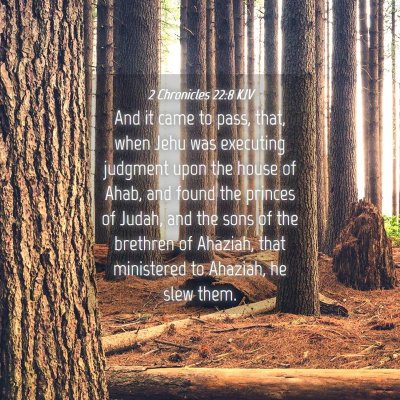 Picture 04 - 2 Chronicles 22:8 KJV - And it came to pass, that, when Jehu was - Bible Verse Picture