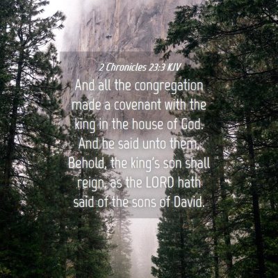 Picture 04 - 2 Chronicles 23:3 KJV - And all the congregation made a covenant with the - Bible Verse Picture