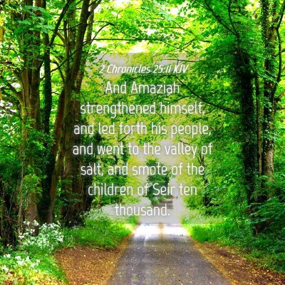 Picture 04 - 2 Chronicles 25:11 KJV - And Amaziah strengthened himself, and led forth - Bible Verse Picture