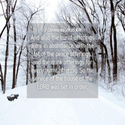 Picture 04 - 2 Chronicles 29:35 KJV - And also the burnt offerings were in abundance, - Bible Verse Picture