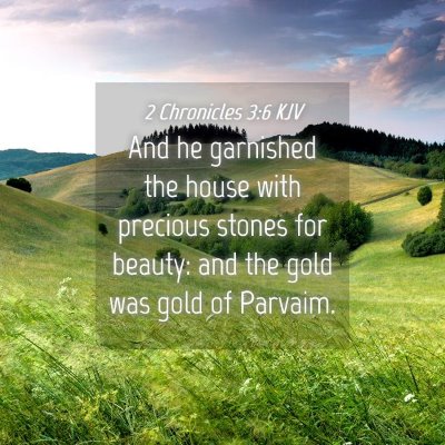Picture 04 - 2 Chronicles 3:6 KJV - And he garnished the house with precious stones - Bible Verse Picture