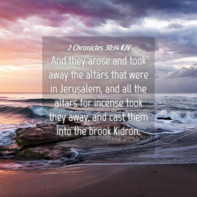 Picture 04 - 2 Chronicles 30:14 KJV - And they arose and took away the altars that were - Bible Verse Picture