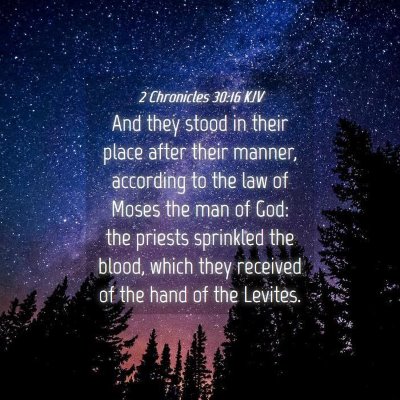 Picture 04 - 2 Chronicles 30:16 KJV - And they stood in their place after their manner, - Bible Verse Picture