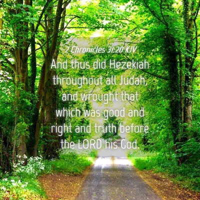 Picture 04 - 2 Chronicles 31:20 KJV - And thus did Hezekiah throughout all Judah, and - Bible Verse Picture