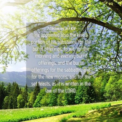 Picture 04 - 2 Chronicles 31:3 KJV - He appointed also the king's portion of his - Bible Verse Picture
