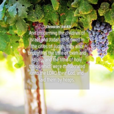 Picture 04 - 2 Chronicles 31:6 KJV - And concerning the children of Israel and Judah, - Bible Verse Picture