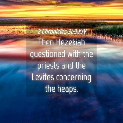 Picture 04 - 2 Chronicles 31:9 KJV - Then Hezekiah questioned with the priests and the - Bible Verse Picture