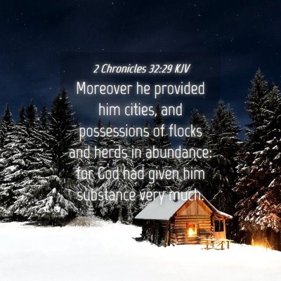 Picture 04 - 2 Chronicles 32:29 KJV - Moreover he provided him cities, and possessions - Bible Verse Picture