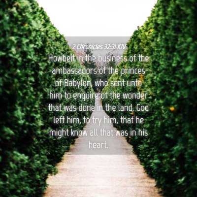 Picture 04 - 2 Chronicles 32:31 KJV - Howbeit in the business of the ambassadors of the - Bible Verse Picture