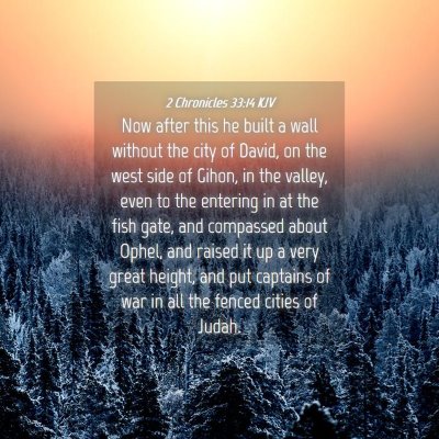 Picture 04 - 2 Chronicles 33:14 KJV - Now after this he built a wall without the city - Bible Verse Picture