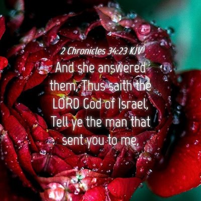 Picture 04 - 2 Chronicles 34:23 KJV - And she answered them, Thus saith the LORD God of - Bible Verse Picture