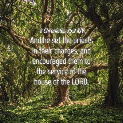 Picture 04 - 2 Chronicles 35:2 KJV - And he set the priests in their charges, and - Bible Verse Picture