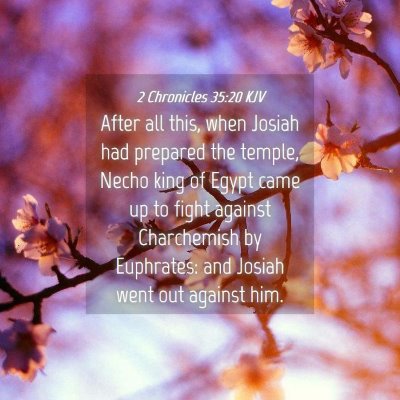 Picture 04 - 2 Chronicles 35:20 KJV - After all this, when Josiah had prepared the - Bible Verse Picture
