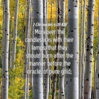 Picture 04 - 2 Chronicles 4:20 KJV - Moreover the candlesticks with their lamps, that - Bible Verse Picture