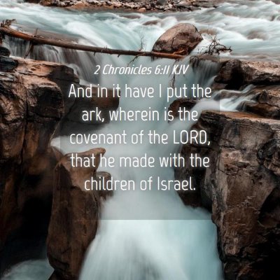 Picture 04 - 2 Chronicles 6:11 KJV - And in it have I put the ark, wherein is the - Bible Verse Picture