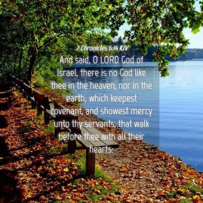 Picture 04 - 2 Chronicles 6:14 KJV - And said, O LORD God of Israel, there is no God - Bible Verse Picture