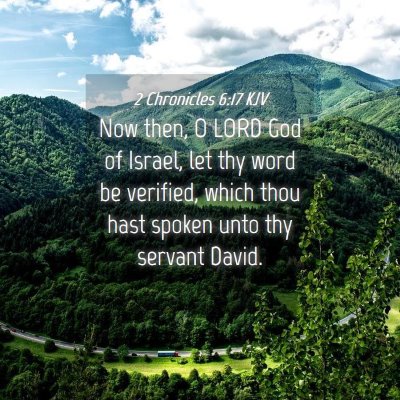 Picture 04 - 2 Chronicles 6:17 KJV - Now then, O LORD God of Israel, let thy word be - Bible Verse Picture
