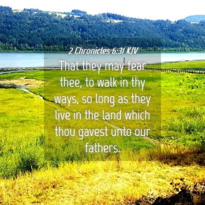 Picture 04 - 2 Chronicles 6:31 KJV - That they may fear thee, to walk in thy ways, so - Bible Verse Picture