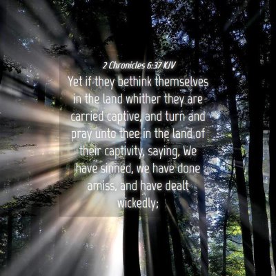 Picture 04 - 2 Chronicles 6:37 KJV - Yet if they bethink themselves in the land - Bible Verse Picture