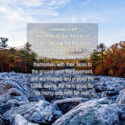 Picture 04 - 2 Chronicles 7:3 KJV - And when all the children of Israel saw how the - Bible Verse Picture