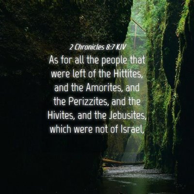 Picture 04 - 2 Chronicles 8:7 KJV - As for all the people that were left of the - Bible Verse Picture