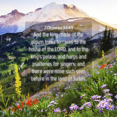 Picture 04 - 2 Chronicles 9:11 KJV - And the king made of the algum trees terraces to - Bible Verse Picture