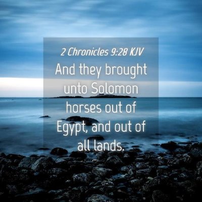 Picture 04 - 2 Chronicles 9:28 KJV - And they brought unto Solomon horses out of - Bible Verse Picture