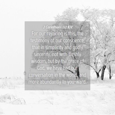Picture 04 - 2 Corinthians 1:12 KJV - For our rejoicing is this, the testimony of our - Bible Verse Picture