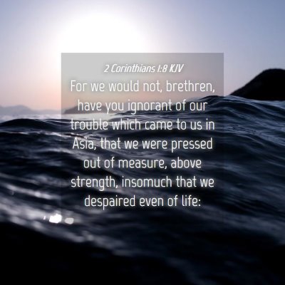 Picture 04 - 2 Corinthians 1:8 KJV - For we would not, brethren, have you ignorant of - Bible Verse Picture