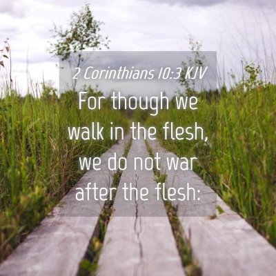 Picture 04 - 2 Corinthians 10:3 KJV - For though we walk in the flesh, we do not war - Bible Verse Picture