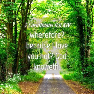 Picture 04 - 2 Corinthians 11:11 KJV - Wherefore? because I love you not? God - Bible Verse Picture
