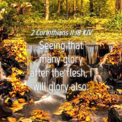 Picture 04 - 2 Corinthians 11:18 KJV - Seeing that many glory after the flesh, I will - Bible Verse Picture