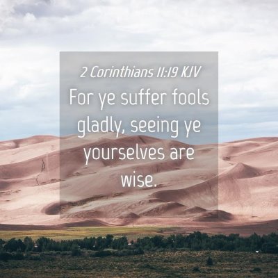 Picture 04 - 2 Corinthians 11:19 KJV - For ye suffer fools gladly, seeing ye yourselves - Bible Verse Picture
