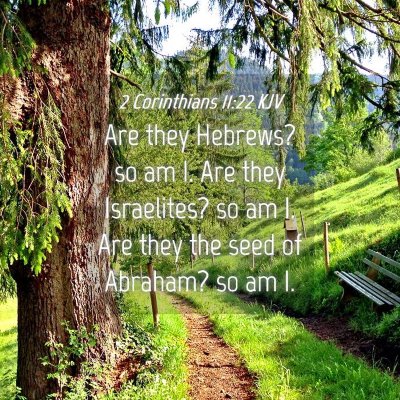 Picture 04 - 2 Corinthians 11:22 KJV - Are they Hebrews? so am I. Are they Israelites? - Bible Verse Picture