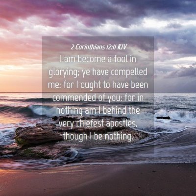 Picture 04 - 2 Corinthians 12:11 KJV - I am become a fool in glorying; ye have compelled - Bible Verse Picture