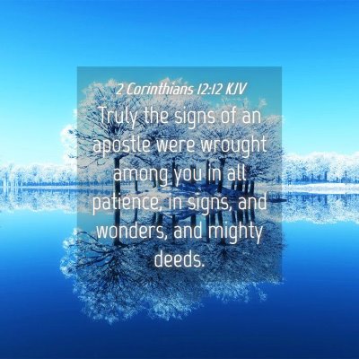 Picture 04 - 2 Corinthians 12:12 KJV - Truly the signs of an apostle were wrought among - Bible Verse Picture