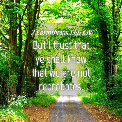 Picture 04 - 2 Corinthians 13:6 KJV - But I trust that ye shall know that we are not - Bible Verse Picture