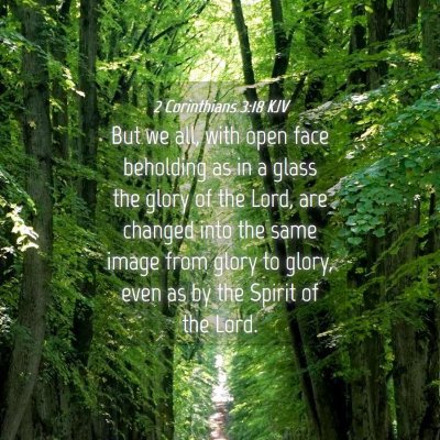 Picture 04 - 2 Corinthians 3:18 KJV - But we all, with open face beholding as in a - Bible Verse Picture
