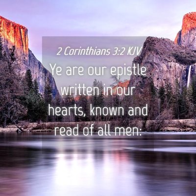 Picture 04 - 2 Corinthians 3:2 KJV - Ye are our epistle written in our hearts, known - Bible Verse Picture
