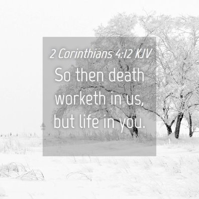 Picture 04 - 2 Corinthians 4:12 KJV - So then death worketh in us, but life in - Bible Verse Picture