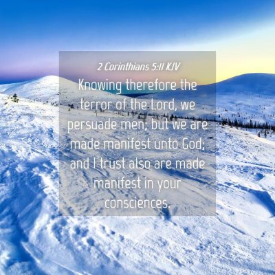 Picture 04 - 2 Corinthians 5:11 KJV - Knowing therefore the terror of the Lord, we - Bible Verse Picture