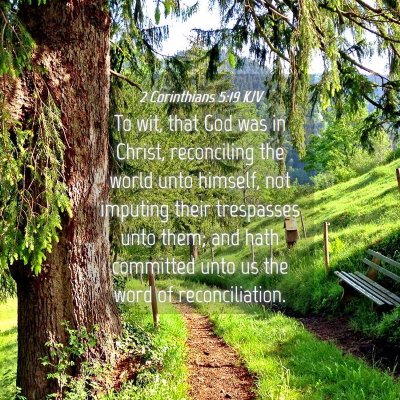 Picture 04 - 2 Corinthians 5:19 KJV - To wit, that God was in Christ, reconciling the - Bible Verse Picture