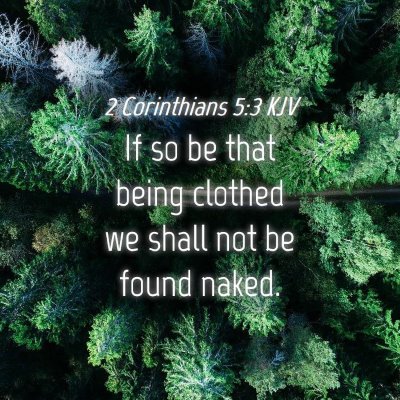 Picture 04 - 2 Corinthians 5:3 KJV - If so be that being clothed we shall not be found - Bible Verse Picture