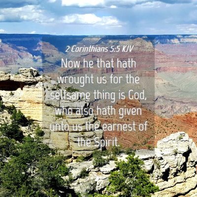 Picture 04 - 2 Corinthians 5:5 KJV - Now he that hath wrought us for the selfsame - Bible Verse Picture